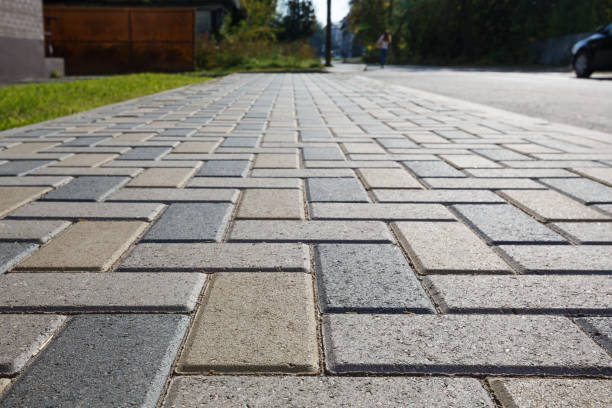 Best Driveway Pavers Contractor  in Schler Park, IL