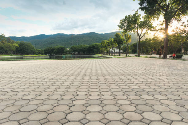 Best Interlocking Driveway Pavers  in Schler Park, IL