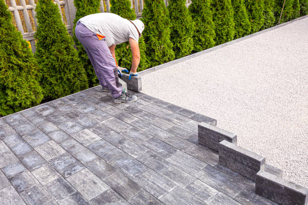 Best Driveway Pavers Near Me  in Schler Park, IL