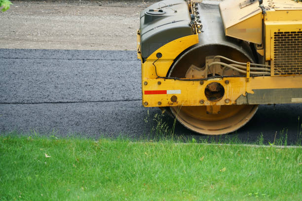 Best Residential Paver Driveway  in Schler Park, IL